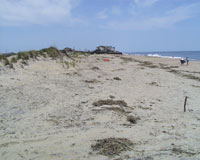 sandbridge dune